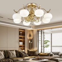 Luxury negative ion fan lamp ceiling fan lamp living room dining room fan chandelier designer Net red shaking head electric fan lamp