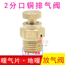 Radiator exhaust valve pure copper bleed valve two points running air cooling door vent valve old cast iron sheet 2 points G1 4