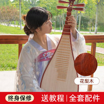Pipa musical instrument beginner introduction Children adult pipa piano exam special rosewood small pipa playing practice