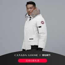 CANADA GOOSE CANADA GOOSE PBI Chilliwack bomber jacket 7999MPB