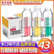 Nongfu Spring Natural Soda 410ml * 15 bottles of whole box special white peach daily summer orange flavor 24