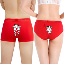 Couple underwear cotton cow year cute suit wedding double seduction red born year is a cow mens Woman