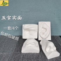 Sichuan delivery is not Beijing 1 set of 4 facial features model pure white gypsum powder making sketch painting