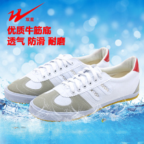 Double Star volleyball shoes bull tendon training shoes martial arts shoes exercise canvas shoes for men and women running shoes student net shoes