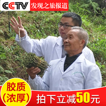 Dendrobium candidum fresh strips original species Huo Shan Dendrobium buy 3 get 1 fresh tin Maple authentic 4 years wild Dendrobium