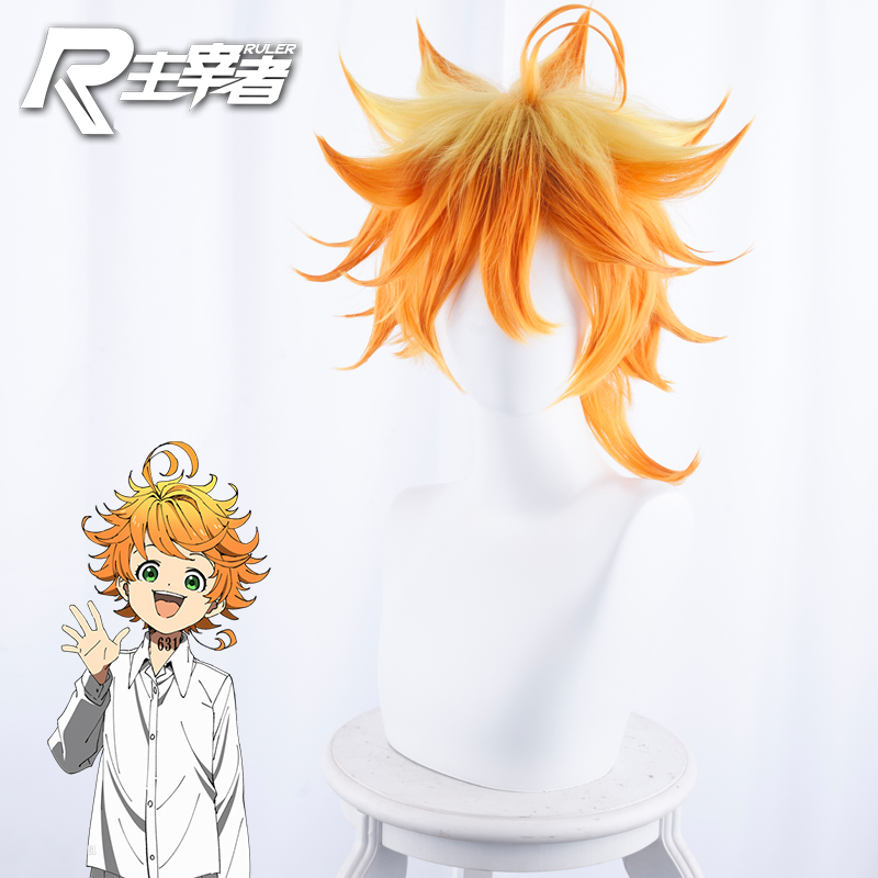 The Promised Neverland Ray Cosplay wigs bhiner cosplay costume