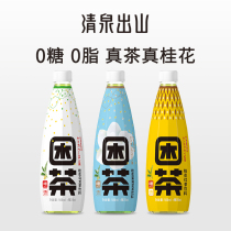 Qingquan mountain sleepy tea Osmanthus black tea 0 sugar 0 fat True tea True Osmanthus tea drink 3 bottles