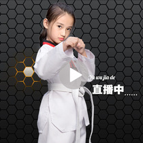 Taekwondo clothing children adult junior senior sleeve short-sleeved men and women custom spring and summer speed mesh T-shirt breathable