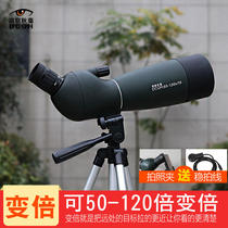 Insight Qiu Hou 120 Variable Double Monoculars High-definition Bird Watching Gun Gun Guibo Mirror Guibo Concert Mobile Phone Photo
