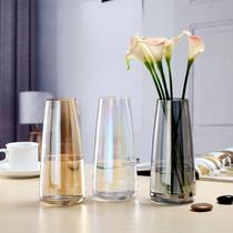 Nordic ins Aurora Auricory Glazed glass vase transparent flower arrangement Water raising minimalist tabletop small frescoed gold small vase