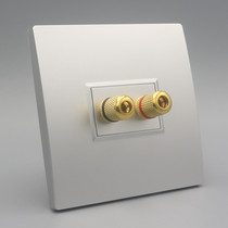 Silver Type 86 one-digit audio panel double-head surround 5 1 audio microphone module terminal audio socket