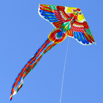 Chinese wind Phoenix kite Bright color Breeze Yifei Weifang kite Childrens kite abroad gift kite