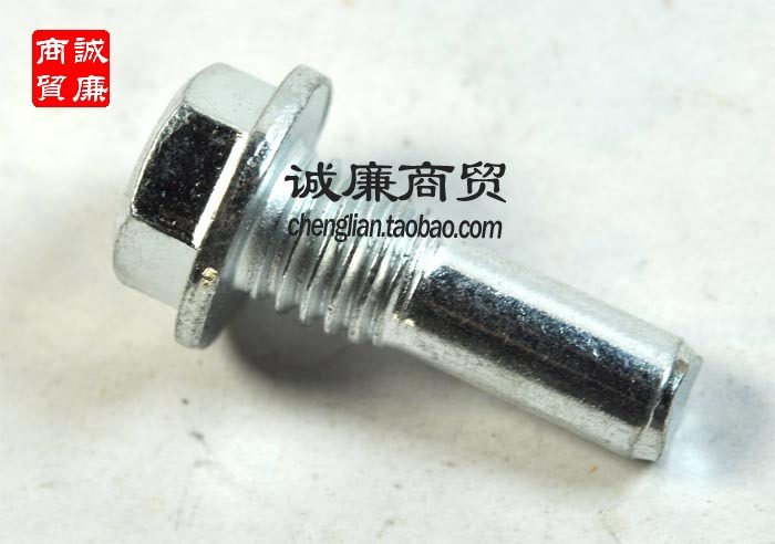 Motorcycle Fuel Booster Type 100 Pad Resistance High Temperature Guided Spindle Screw 8X21MM