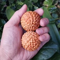 Thuja bao jian qiu walnut handball 4 5cm durian ball hand pieces activities finger fitness ball solid wood pellets