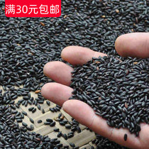 New black rice farmhouse self-produced black fragrant rice non-dyed grains black rice porridge whole grains 500g