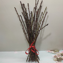 Dried peach branches to ward off evil spirits Transporter Town house Dormitory Dining room Desktop balcony Free bedroom living room Peach branches Dried branches