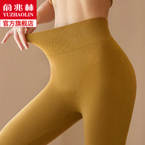 Yu Zhaolin autumn pants womens spring and autumn thin tight ladies warm pants wear high waist waist without trace de velvet leggings