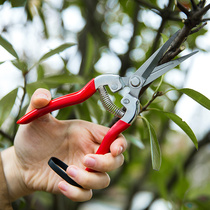 Home stainless steel pruning shears Fruit tree pruning branch scissors multi-functional gardening scissors picking fruit flower and wood scissors