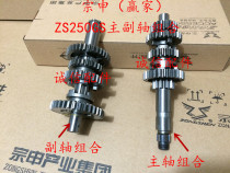 Integrity accessories Zongshen (winner) gear ZS250GS main and auxiliary gear gear teeth
