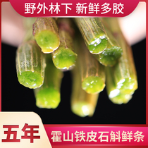 Authentic Huoshan Dendrobium candidum fresh strip field five years fresh edible stem Anhui origin oblique gift box