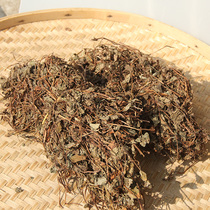 Guangxi characteristic Chinese herbal medicine Houttuynia cordata root root farmers pure natural sulfur-free health Tea 250g