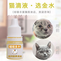Cat with eye drops nasal drops sneezing runny nose anti-inflammatory tear cold cat nose branch