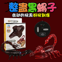 Cross-border new evil to mess up the whole demagogic toy infrared remote control animal scorpion model high simulation interactive childrens toys