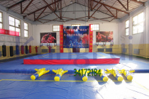 Sanda ring KS730 competition luxury 8*8*0 6m fight boxing MMA overall venue Kangrui direct sales