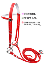 PVC water Lerin with stainless steel hollow horse chew beautiful atmosphere