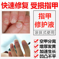 Injured Fingernail Thickened Chia Meat Separation Air Chia Peeling Disorder Repair Growth Liquid Vertical Grain Rugged Cracking Stratification