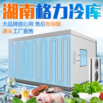 Hunan cold storage full set of equipment 220v Gree refrigeration unit All-in-one fruit and vegetable preservation small quick-freezing storage