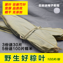 Dry zongzong leaves fresh and natural farmhouse dry big rice dumpling leaves 100 leaves of zongzi non-hemp bamboo