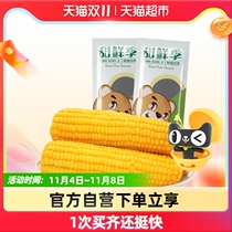 Sweet fresh season yellow glutinous corn 6 sticks northeast glutinous corn vacuum packaging fresh sweet soft waxy