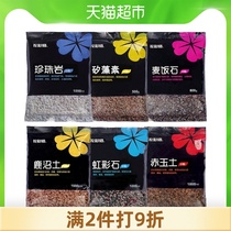 Hongyue flower color division Fleshy paving stone Gardening general soil mixing particles Indoor small potted plants special perlite