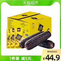 Small color bee black glutinous corn northeast corn cob vacuum packaging cooked sticky waxy corn whole box emergency reserve food