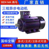 Three-phase 380v YE2-200L-4 pole 30kw motor three-phase asynchronous motor 45w55kw all-copper motor
