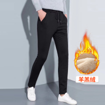 Brand discount mens lamb cashmere winter plus velvet padded cotton pants warm pants stretch casual trousers business versatile