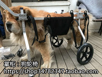 Large Disabled Pet Scooter Big Dog Walker Wheelchair Pet Scooter Quadriplegic Pet Scooter
