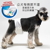 Spay neuter dedicated dog diapers diapers small giant diaper pad fast absorption male dog diaper with niao xian