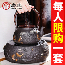 Iron pot cast iron tea special kettle electric pottery stove tea maker imitating Japanese handmade iron teapot kettle set
