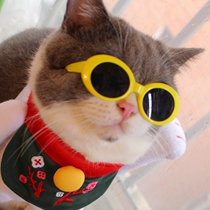 Funny cat glasses pet sunglasses cool photo funny cat dog accessories cute personality sunglasses accessories