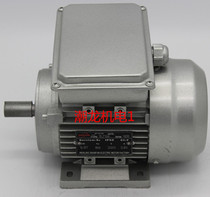 YL7124 7134 YL8034 220V single phase aluminum shell asynchronous motor 180W-750W
