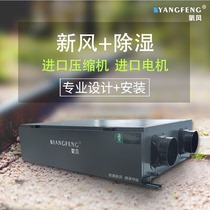 Oxygen air full heat exchange fresh air dehumidification all-in-one system ceiling central pipeline Villa basement household