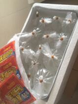 Insulated foam box to buy fish must not shoot no damage thank you 