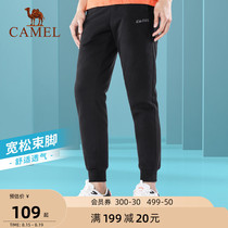 Camel sweatpants mens and womens summer thin loose training bunched feet running casual sweatpants trend knitted trousers men