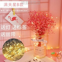 Iron grid photo wall shelf ins Net red hanging wall girl heart room layout dormitory bedroom decoration