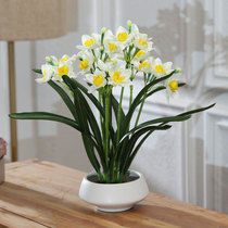 Simulation fake flower daffodil flower art overall flower set decoration living room table TV cabinet decoration