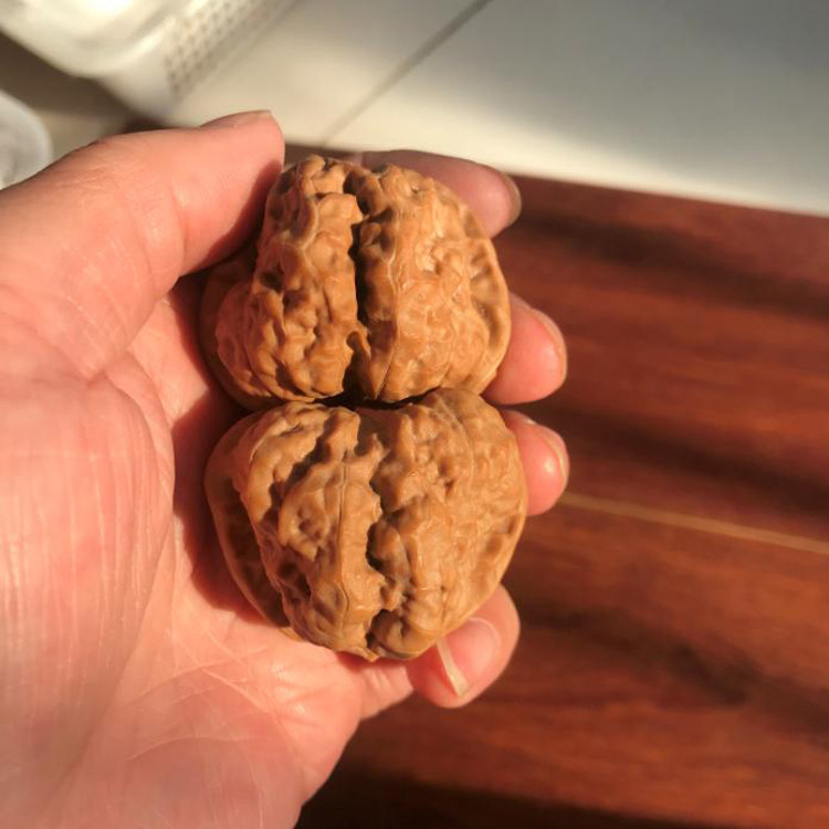 蛤蟆头精配对核桃-蛤蟆头精配对核桃促销价格、蛤蟆头精配对核桃品牌- 淘宝