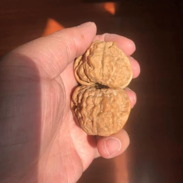 蛤蟆头核桃一物一图-蛤蟆头核桃一物一图促销价格、蛤蟆头核桃一物一图