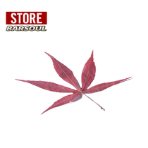 BARSOUL International Wine Creativity Cocktail Real Leaf Specimens Maple Leaf leaf Leaf Pine Leaf Ornament
